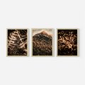 Zestaw obrazy w ramie, plakaty - natura, liście, góry - rama drewno