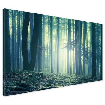 Obraz na płótnie - las, drzewa, mgła