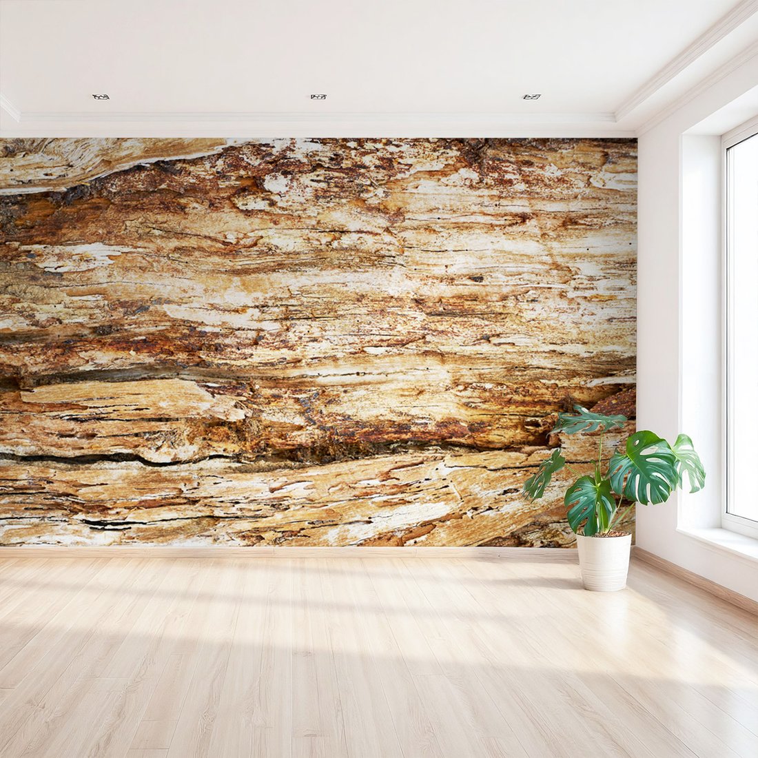 Fototapeta - drewno, kora, tekstura