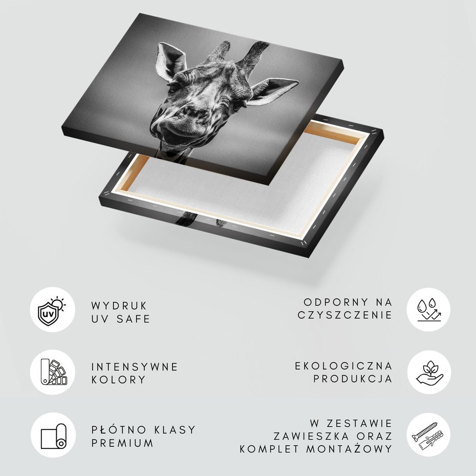 Obraz na płótnie - żyrafa, portret, Afryka