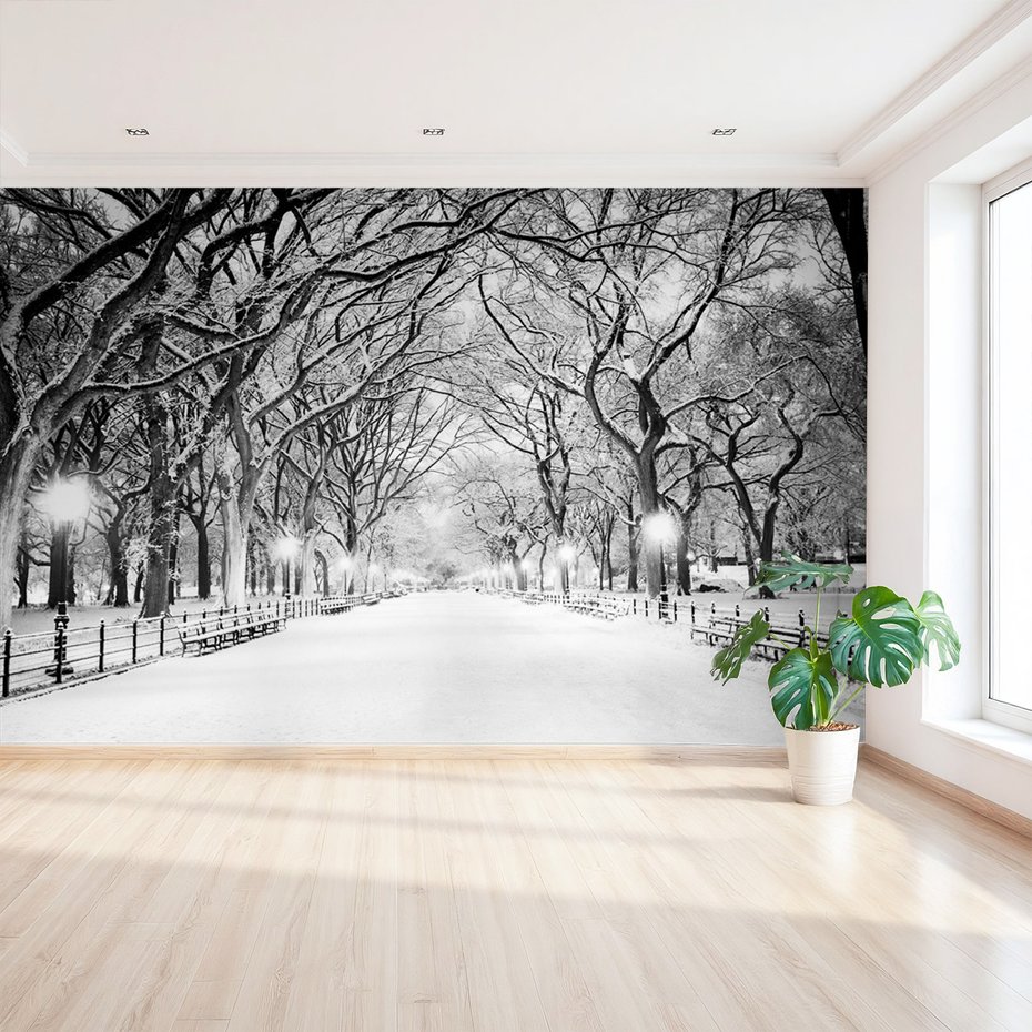 Fototapeta - zima, śnieg, park