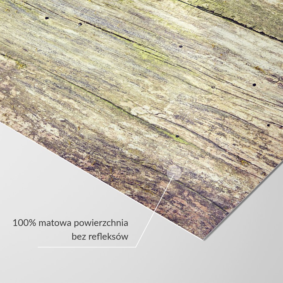 Fototapeta - drewno, kora, tekstura