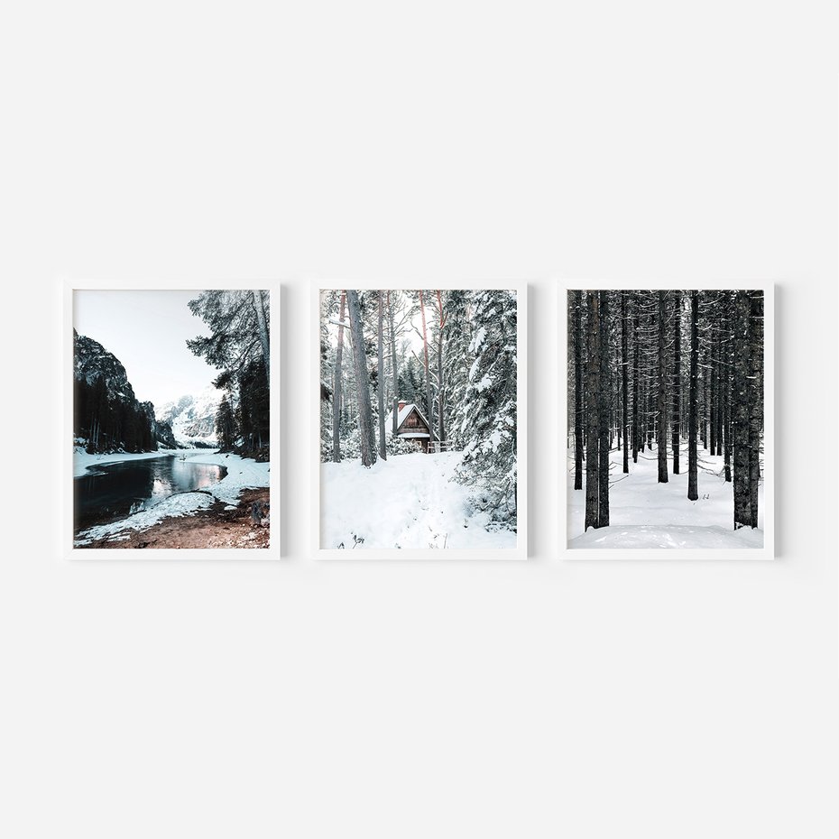 Zestaw obrazy w ramie, plakaty - zima, śnieg, las - rama biała