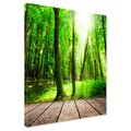 Obraz na płótnie - las, drzewa, przyroda