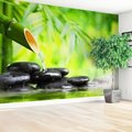 Fototapeta - bambus, kamienie, woda