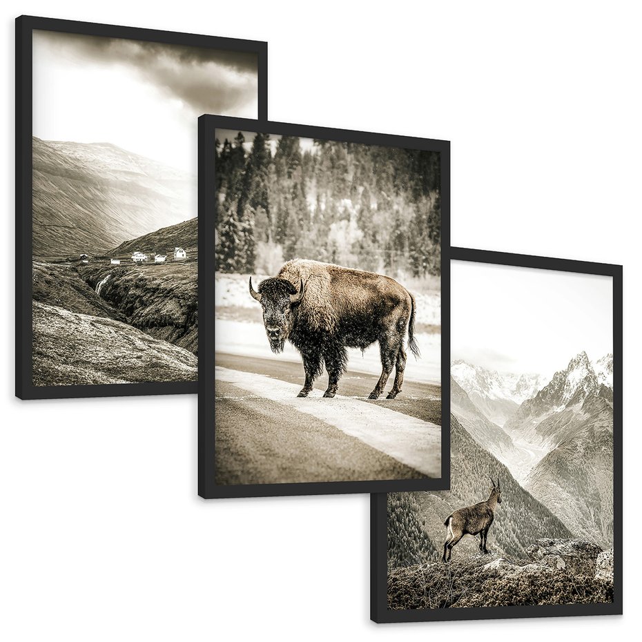 Zestaw obrazy w ramie, plakaty - krajobraz, zwierzę, góry - rama czarna