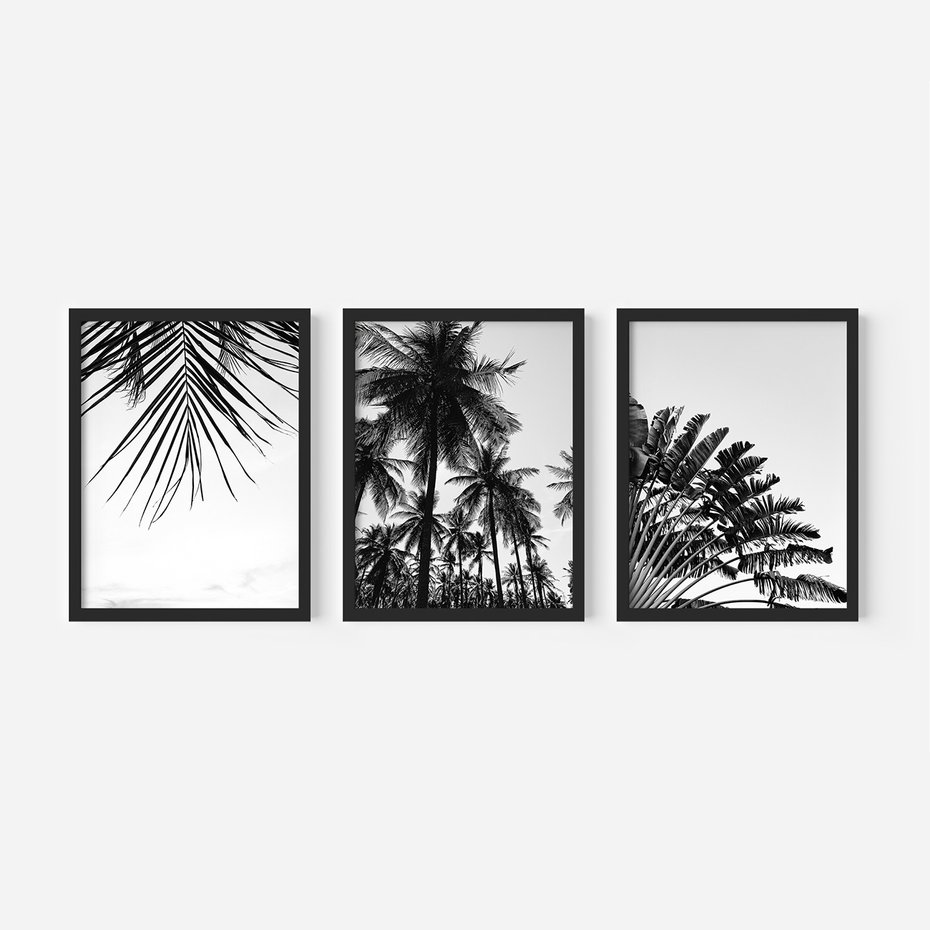 Zestaw obrazy w ramie, plakaty - palmy, liście, tropikalne - rama czarna