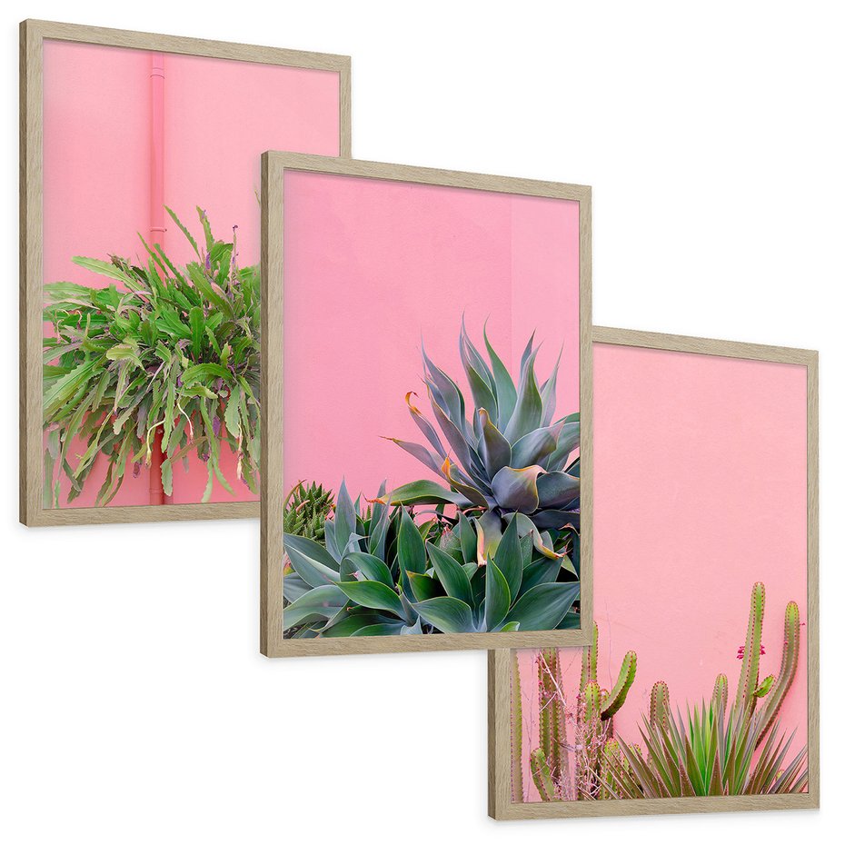 Zestaw obrazy w ramie, plakaty - rośliny, kaktusy, różowy - rama drewno