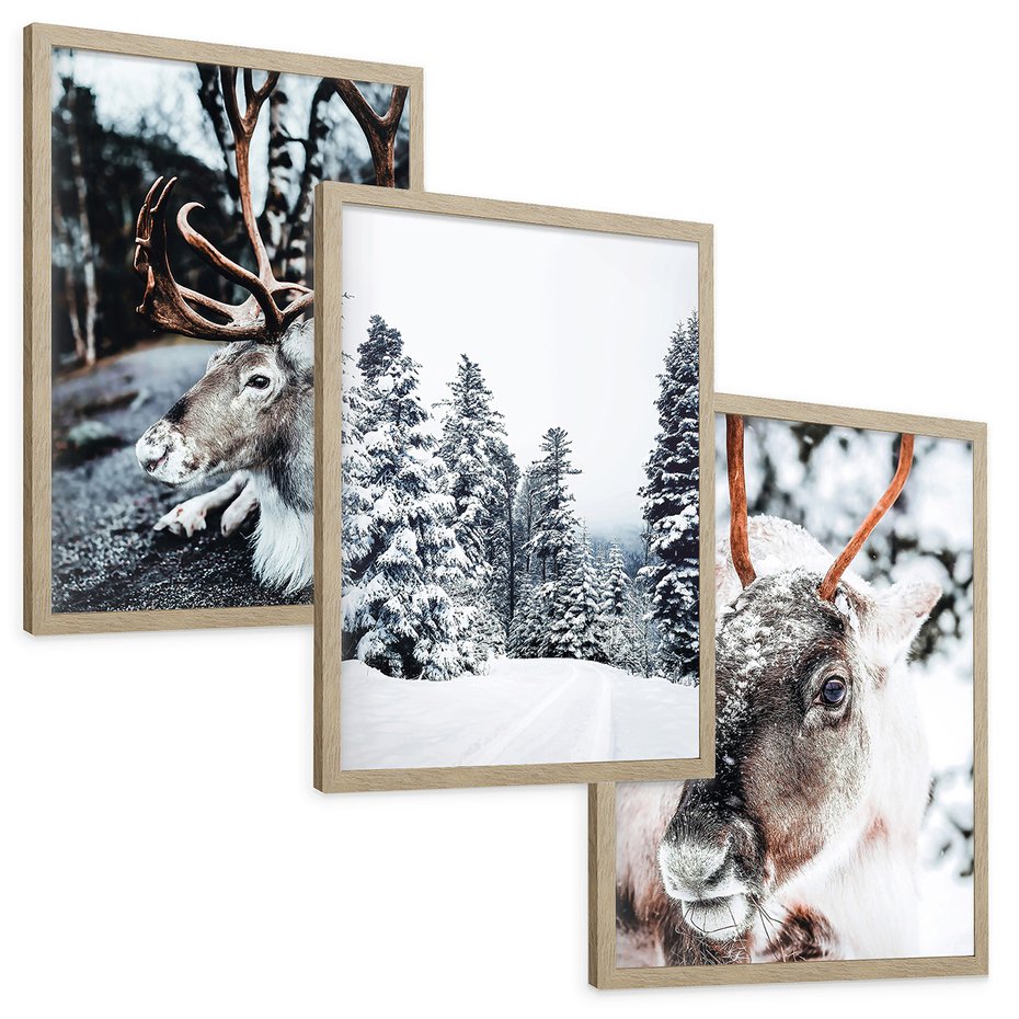 Zestaw obrazy w ramie, plakaty - renifer, zima, śnieg - rama drewno