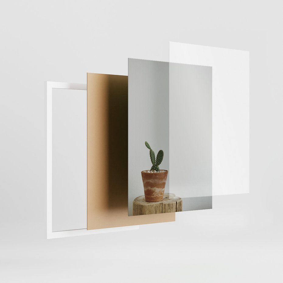 Zestaw obrazy w ramie, plakaty - kaktusy, sukulenty, rośliny - rama biała