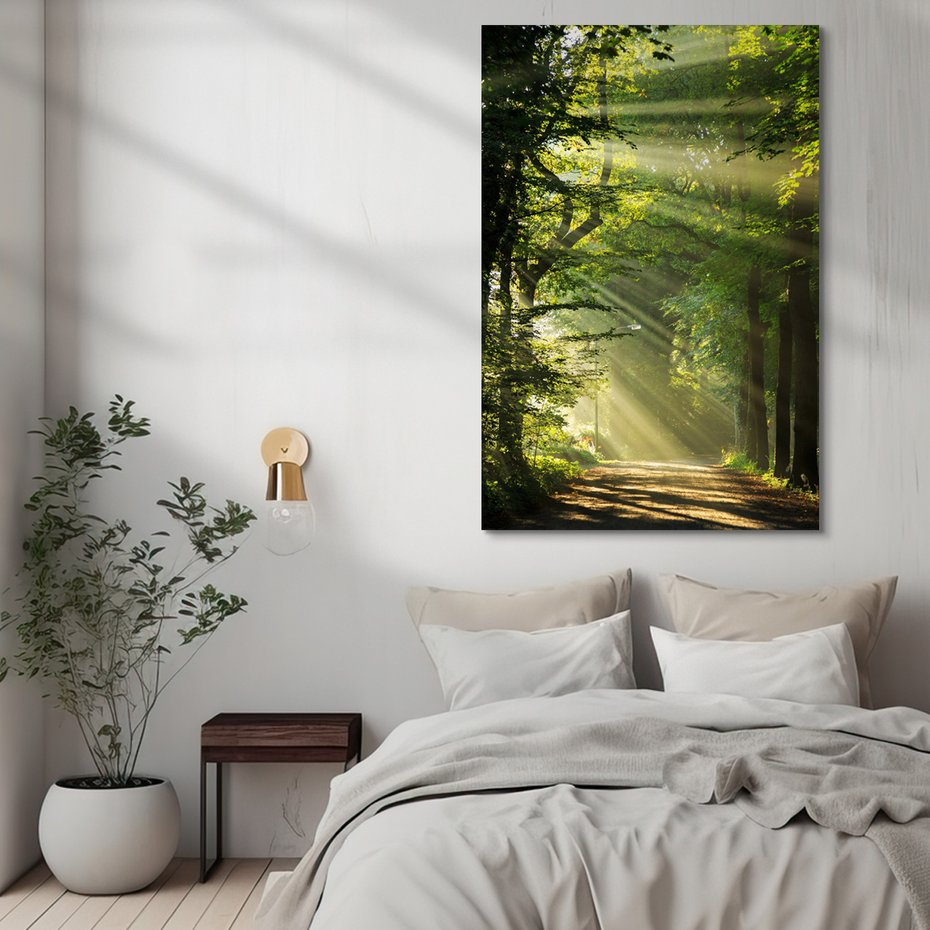 Obraz na płótnie - las, światło, droga