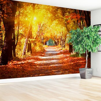 Fototapeta - jesień, liście, droga