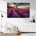 Obraz na płótnie - lawenda, pole, krajobraz