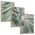 Zestaw obrazy w ramie, plakaty - liście palmowe, rośliny, natura - rama drewno