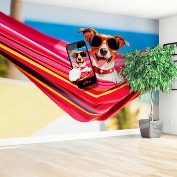 Fototapeta - pies, hamak, okulary