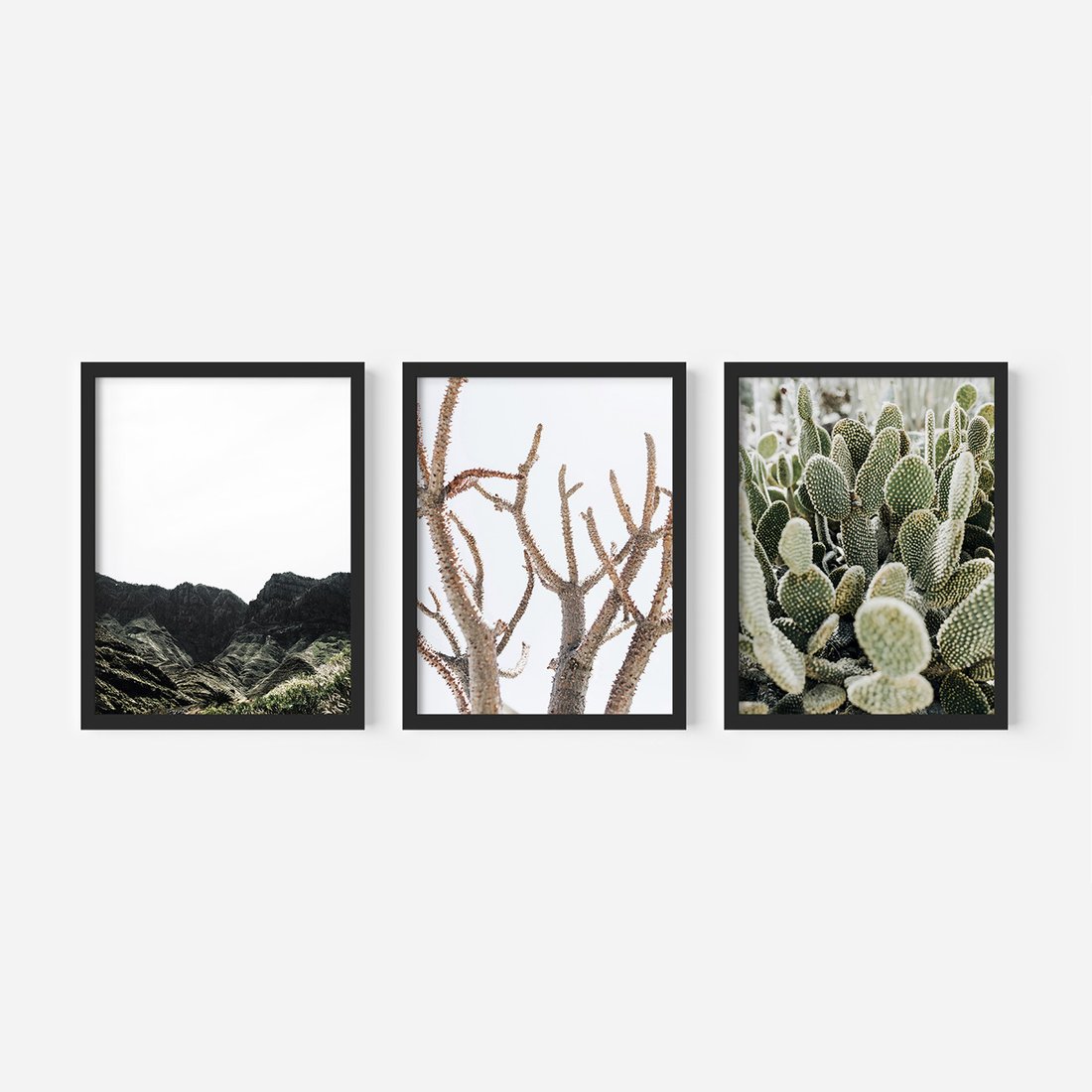 Zestaw obrazy w ramie, plakaty - góry, kaktus, rośliny - rama czarna