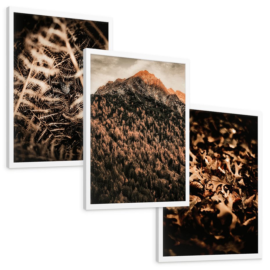 Zestaw obrazy w ramie, plakaty - natura, liście, góry - rama biała