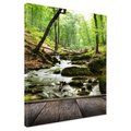 Obraz na płótnie - las, strumień, drzewa