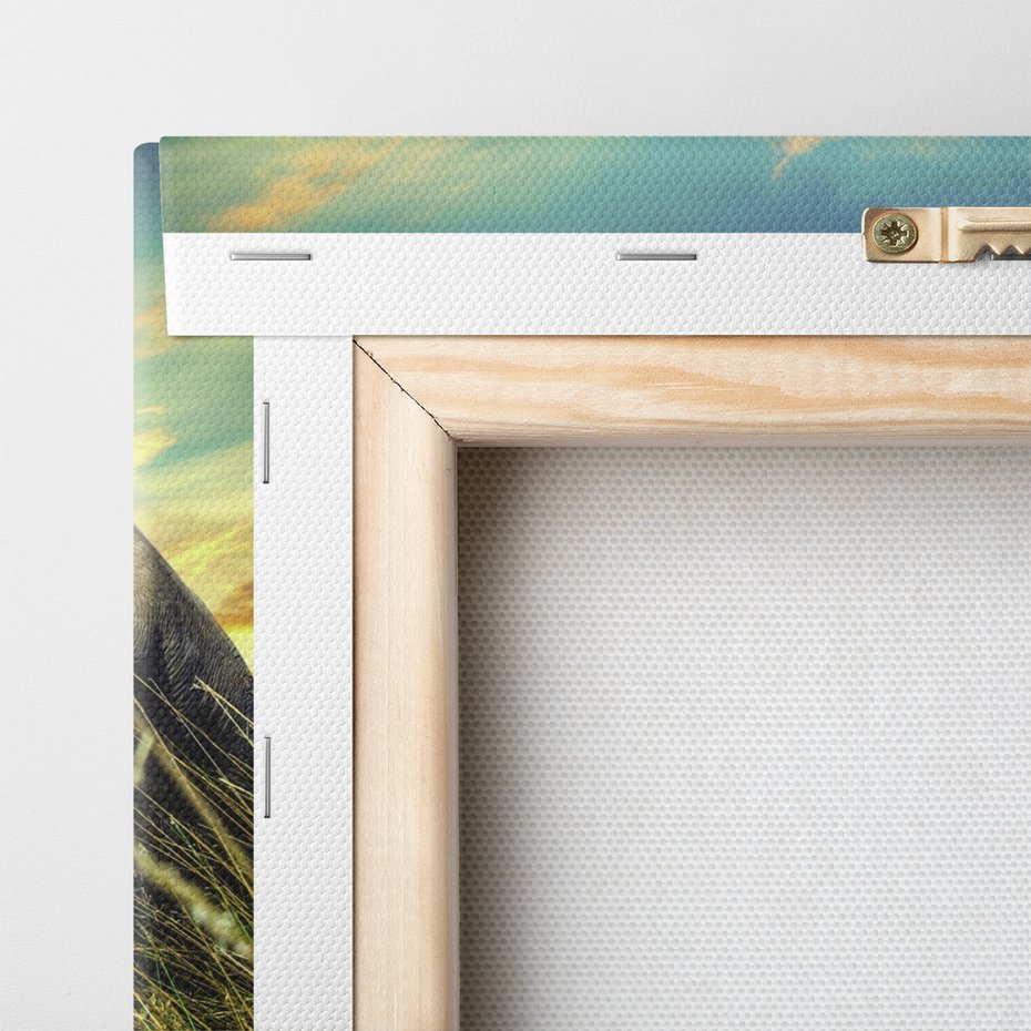 Obraz na płótnie - słoń, trawa, natura