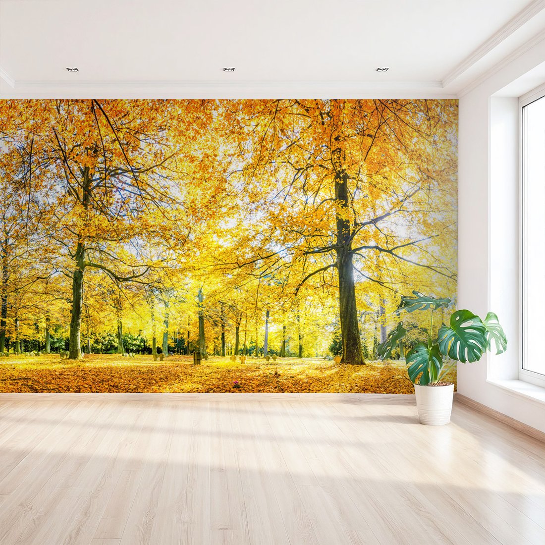 Fototapeta - jesień, liście, drzewa