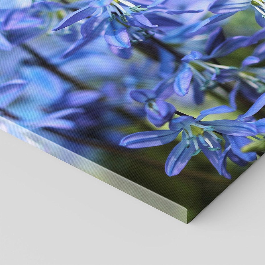 Obraz na płótnie - kwiaty, niebieskie, wiosna