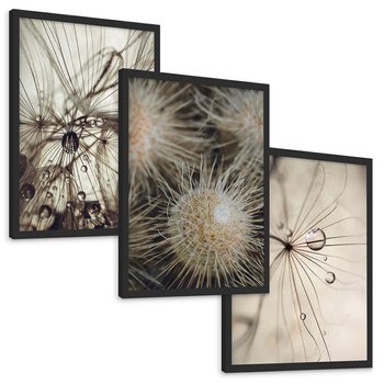 Zestaw obrazy w ramie, plakaty - makro, natura, roślina - rama czarna