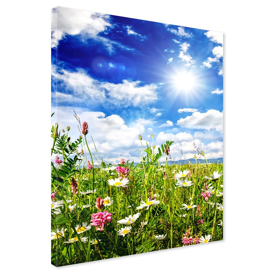 Obraz na płótnie - łąka, kwiaty, niebo