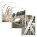 Zestaw obrazy w ramie, plakaty - natura, drewno, wieś - rama biała