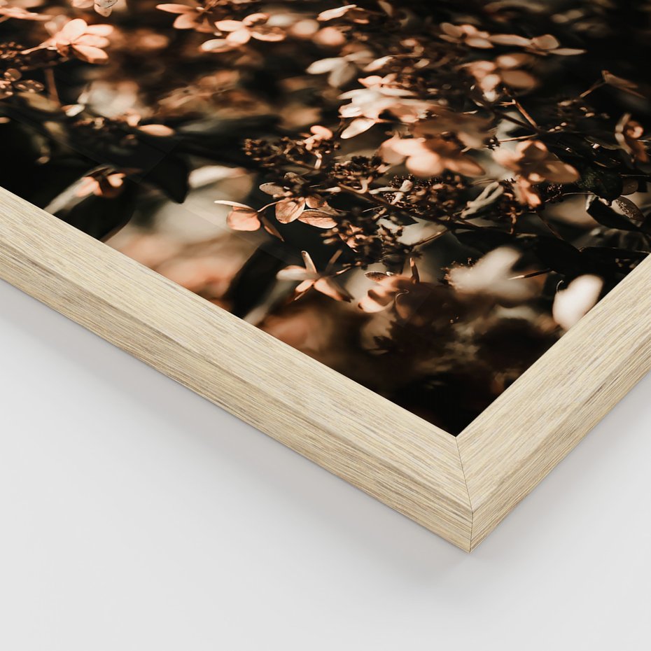 Zestaw obrazy w ramie, plakaty - kwiaty, jesień, dekoracja - rama drewno