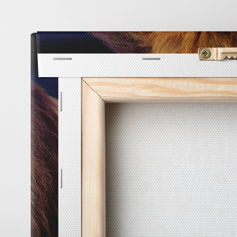 Obraz na płótnie - lew, zwierzę, drapieżnik