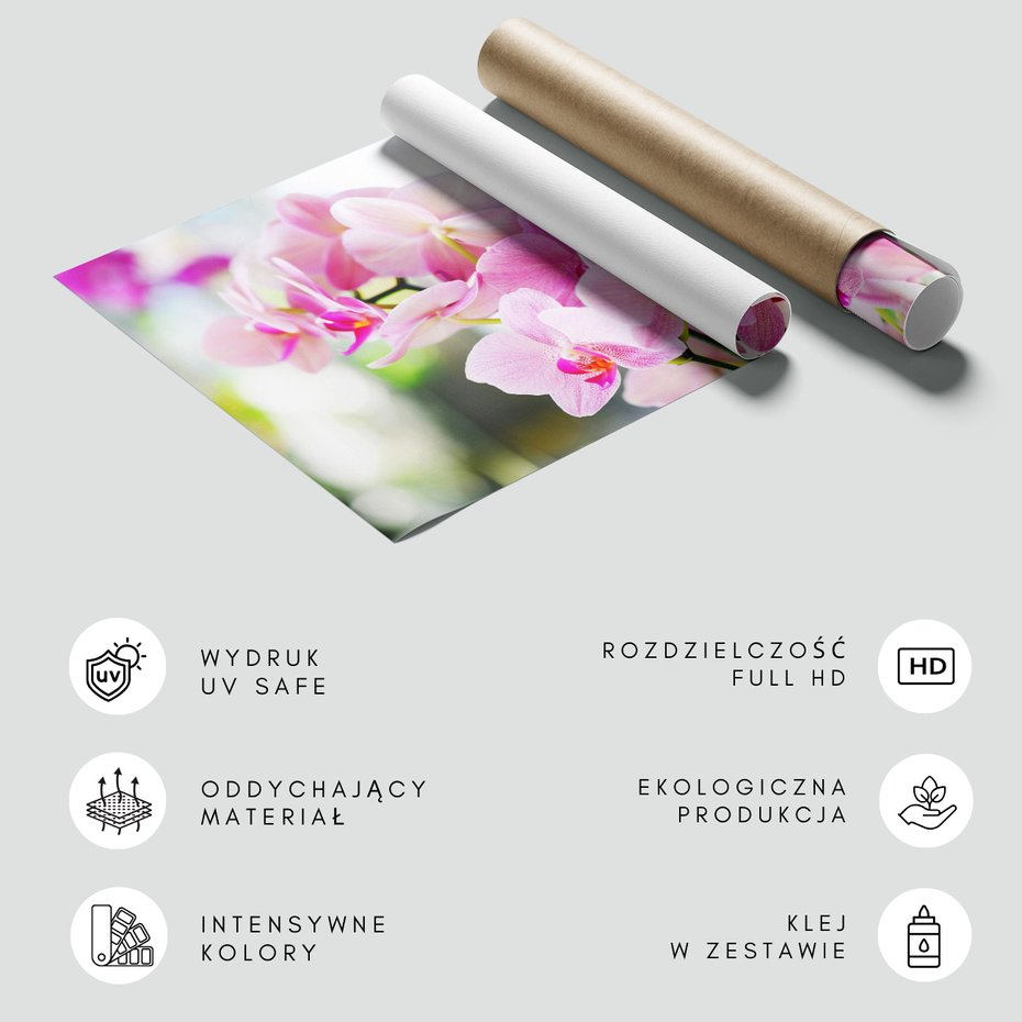 Fototapeta - kwiaty, orchidee, różowe,