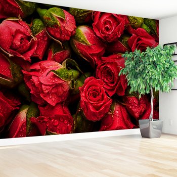 Fototapeta - róże, kwiaty, czerwone