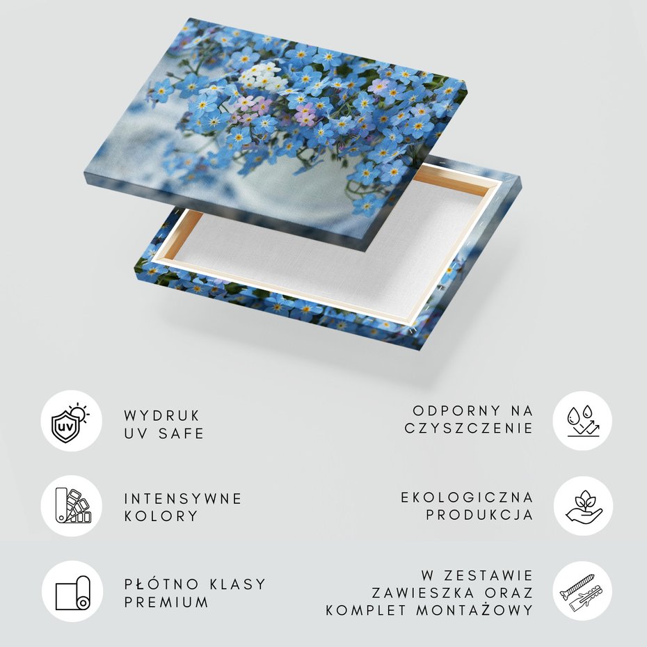 Obraz na płótnie - niezapominajki, kwiaty, wiosna