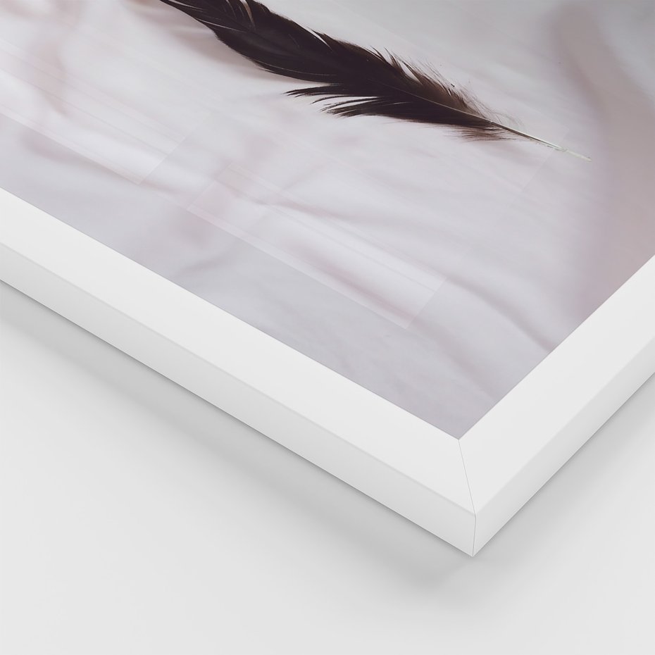 Zestaw obrazy w ramie, plakaty - pióro, minimalizm, tło - rama biała