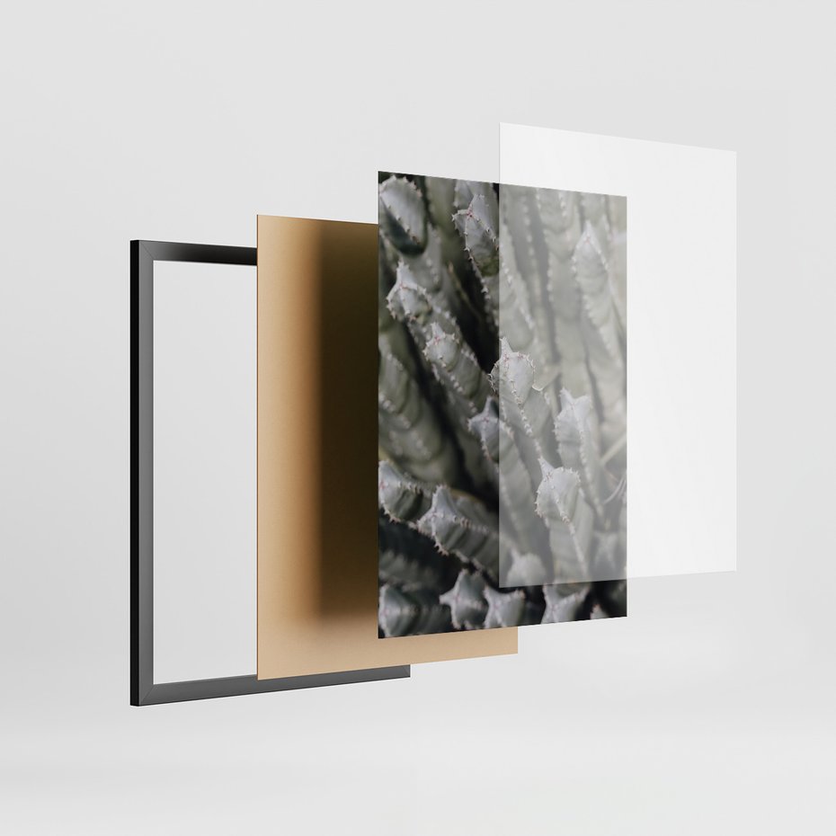 Zestaw obrazy w ramie, plakaty - kaktus, sukulent, roślina - rama czarna