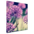 Obraz na płótnie - kwiaty, fioletowe, zbliżenie
