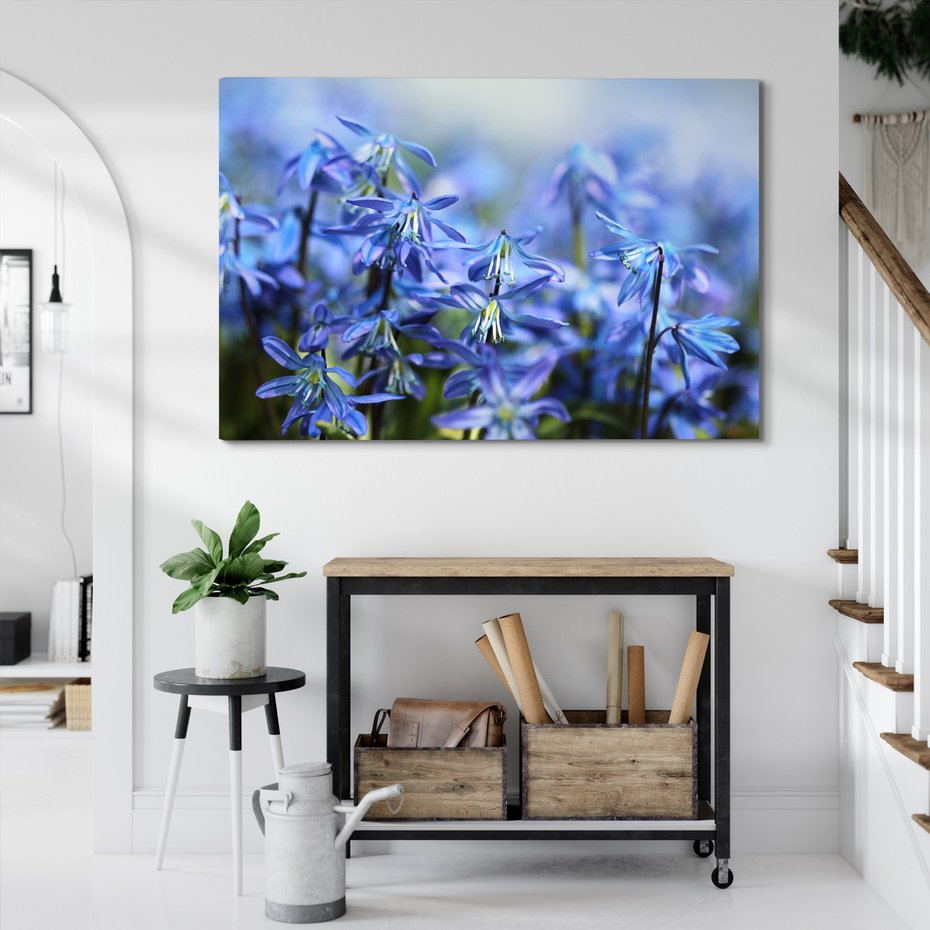 Obraz na płótnie - kwiaty, niebieskie, wiosna