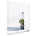 Obraz na płótnie - ściana, roślina, donica