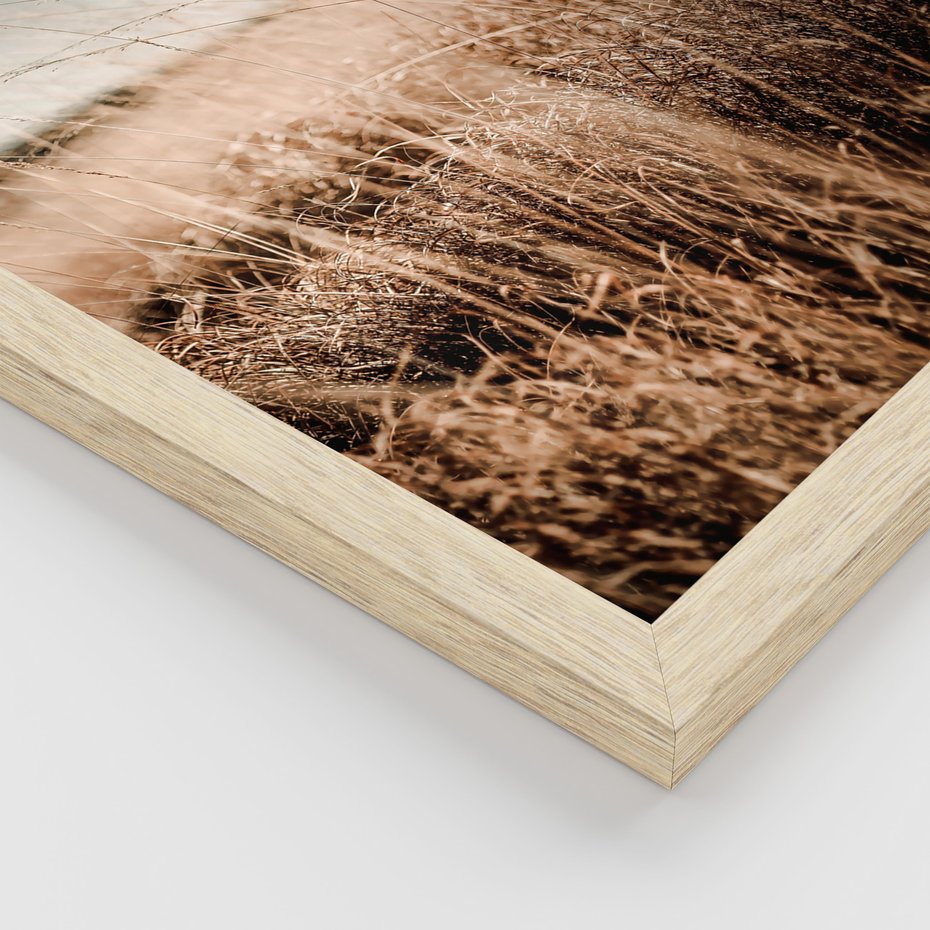 Zestaw obrazy w ramie, plakaty - przyroda, polne, krajobraz - rama drewno