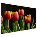 Obraz na płótnie - tulipany, kwiaty, czerwony