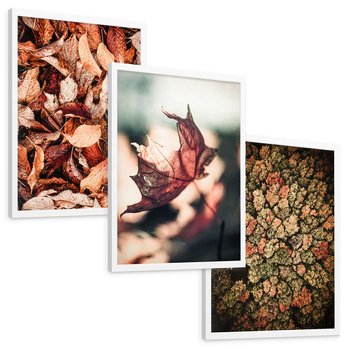 Zestaw obrazy w ramie, plakaty - liście,jesień,drzewa - rama biała