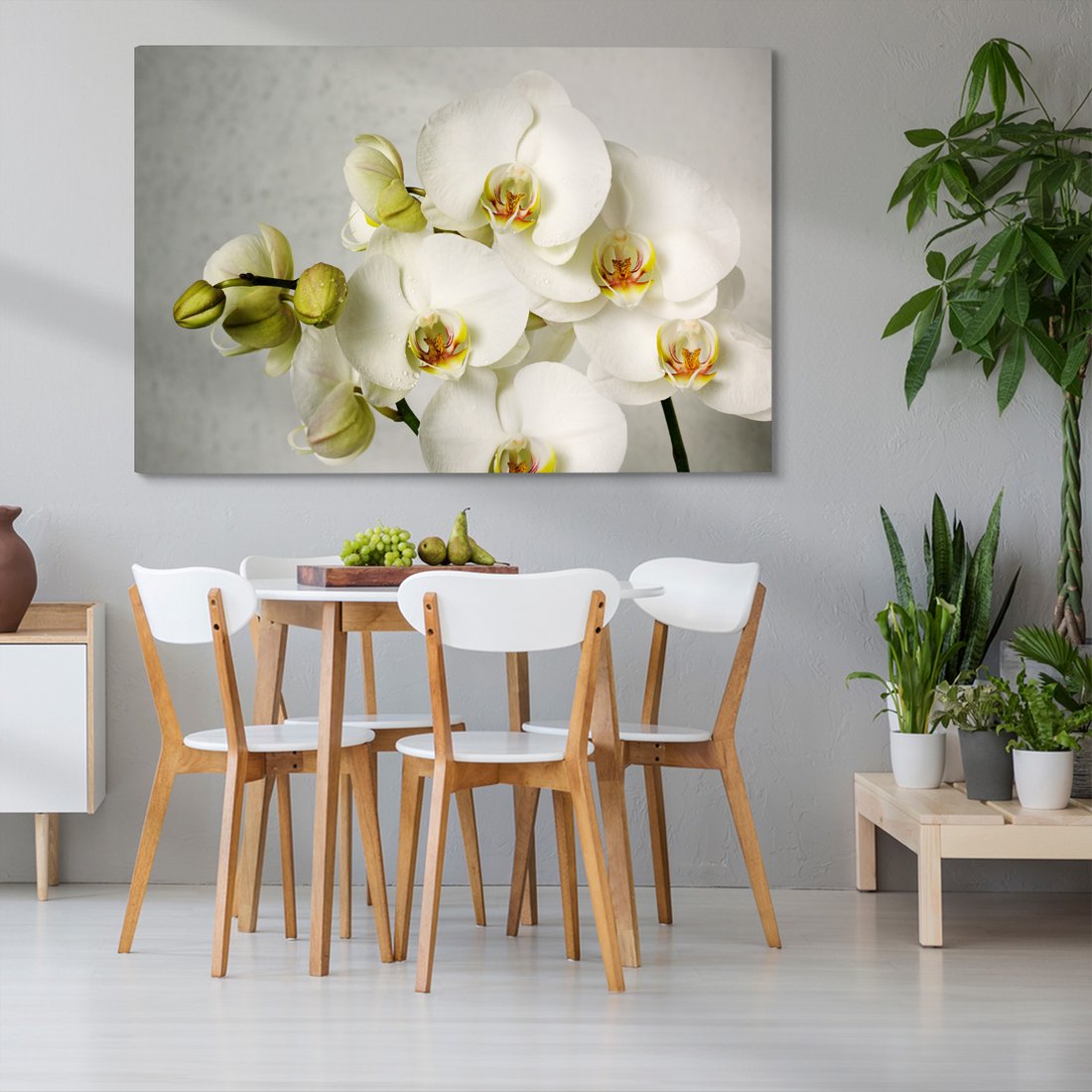 Obraz na płótnie - kwiaty, orchidee, białe,