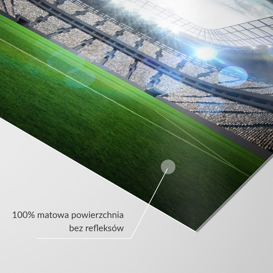 Fototapeta - stadion, sport, trawa