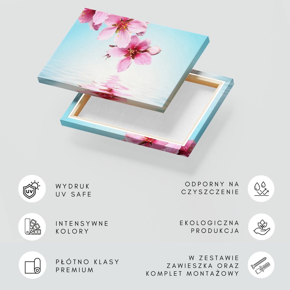 Obraz na płótnie - kwiaty, różowy, woda