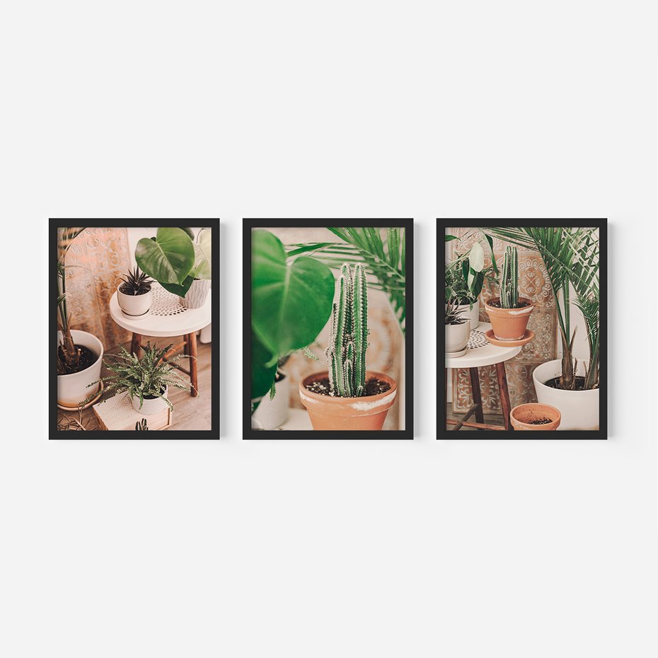 Zestaw obrazy w ramie, plakaty - rośliny, doniczki, wnętrze - rama czarna
