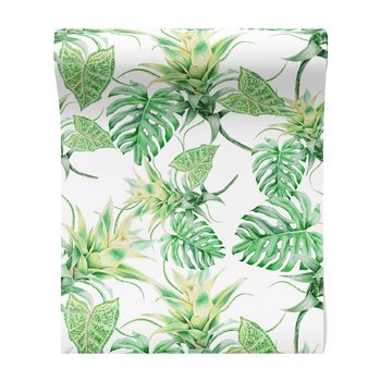 Tapeta - liście, rośliny, bromelia