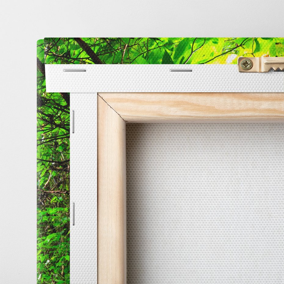 Obraz na płótnie - schody, las, zieleń