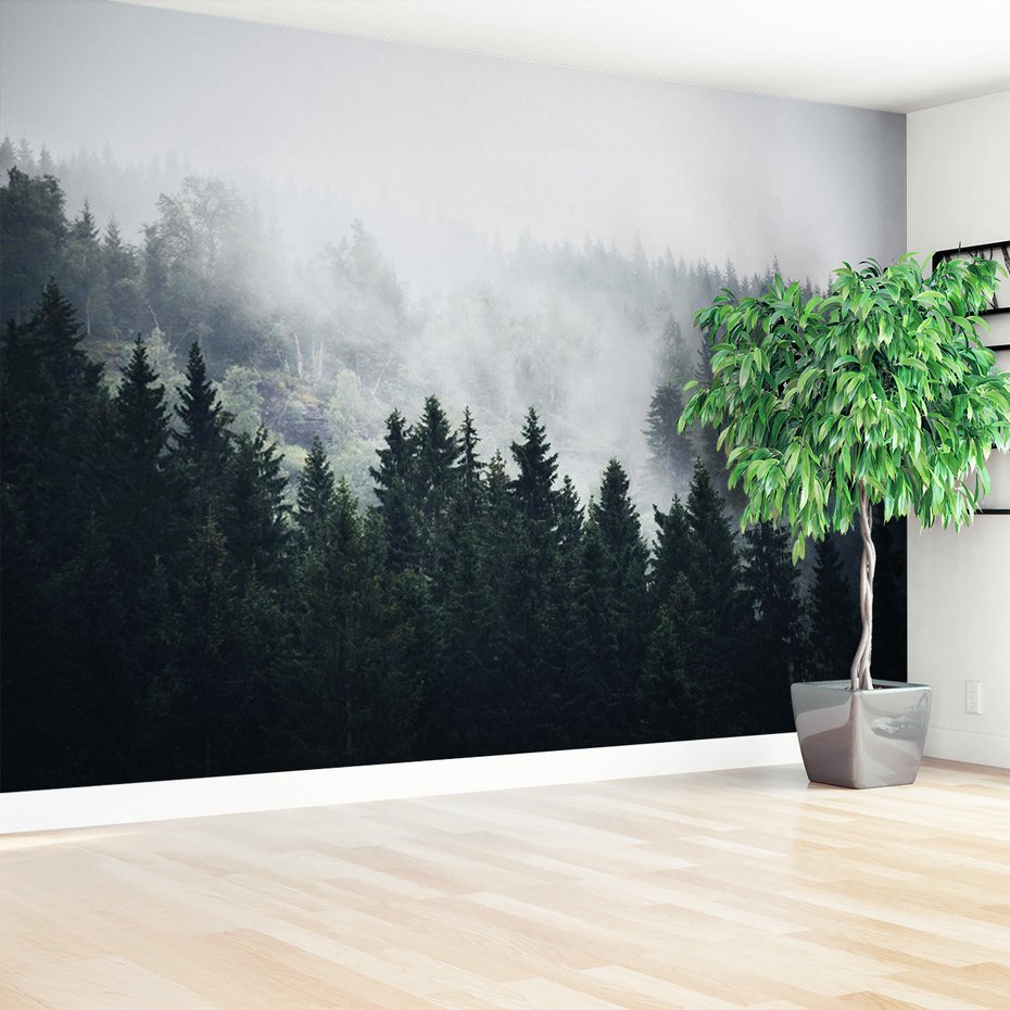 Fototapeta - las, mgła, drzewa