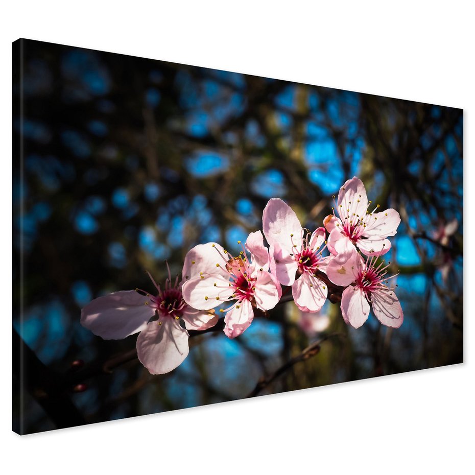 Obraz na płótnie - kwiaty, wiosna, natura