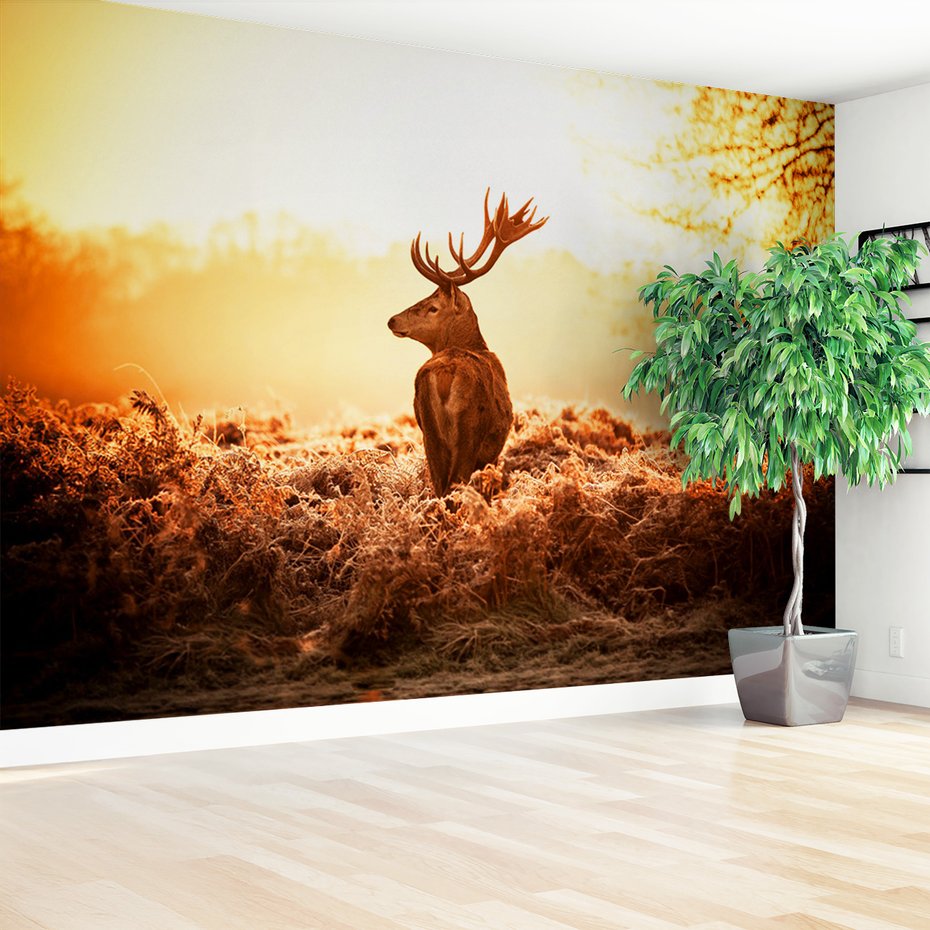 Fototapeta - jeleń, natura, krajobraz